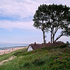 Windflüchter an der Ostsee