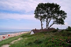 Windflüchter an der Ostsee