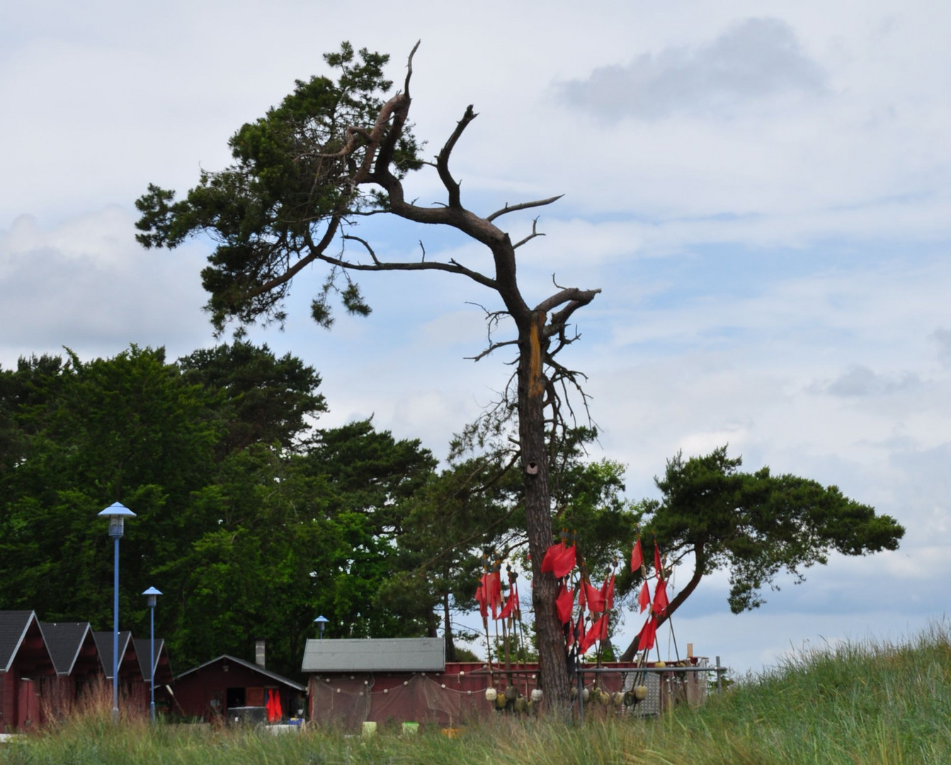 Windflüchter