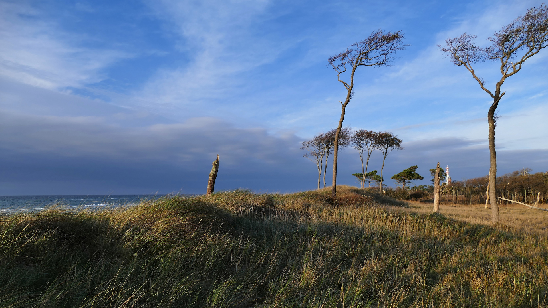 Windflüchter