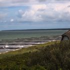 Windflüchter in Fischland/Darß