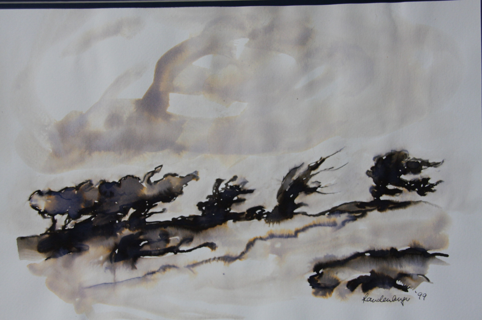 Windflüchter, Rohrfederzeichnung, schwarze Tinte, laviert, ca 40x50 cm