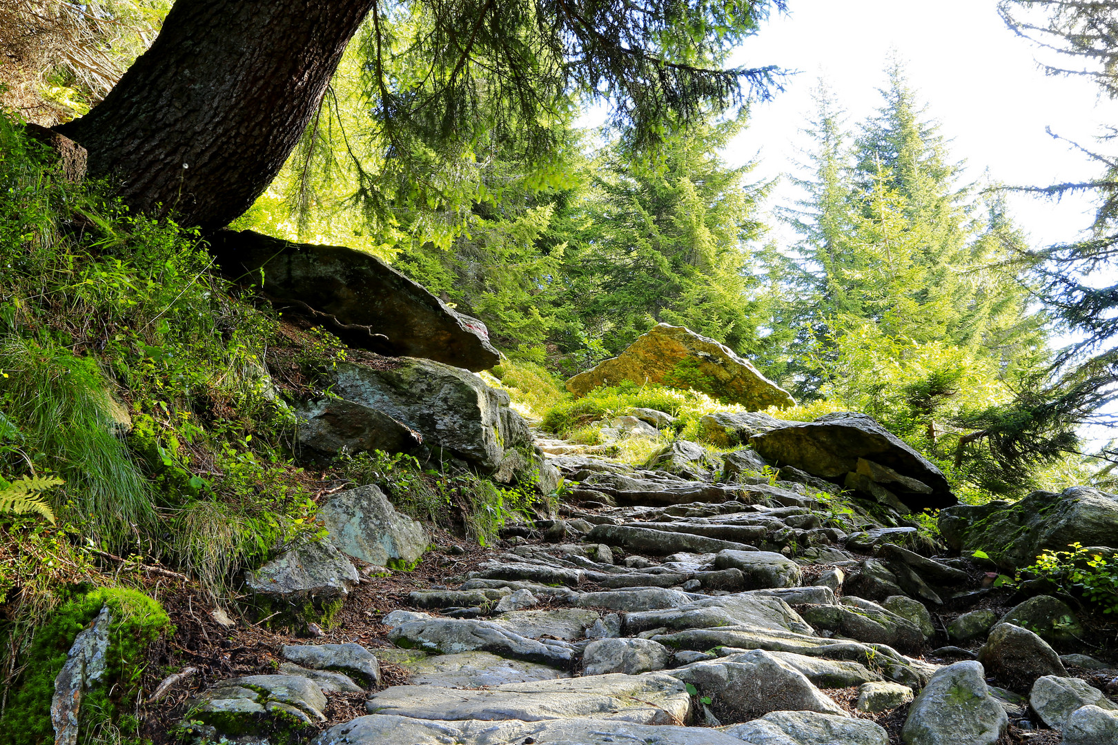 Windgällenweg , Maderanertal