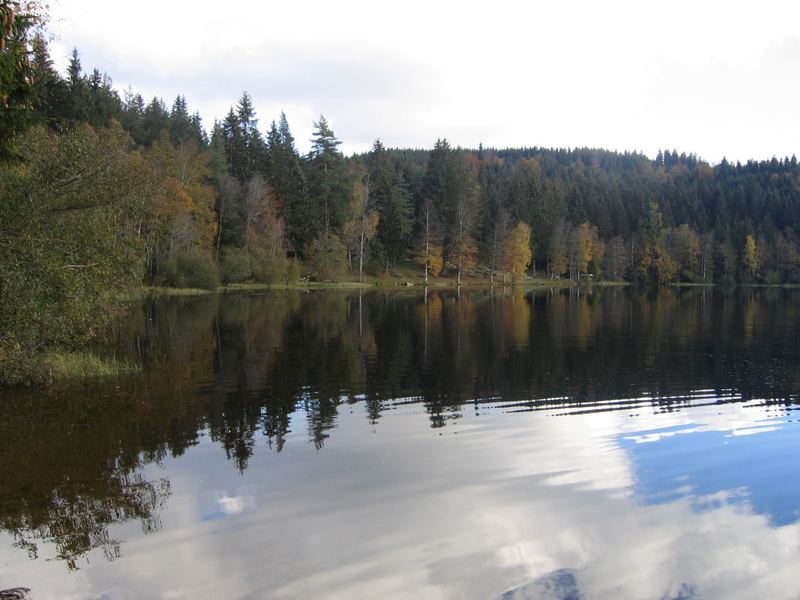 Windgfällweiher