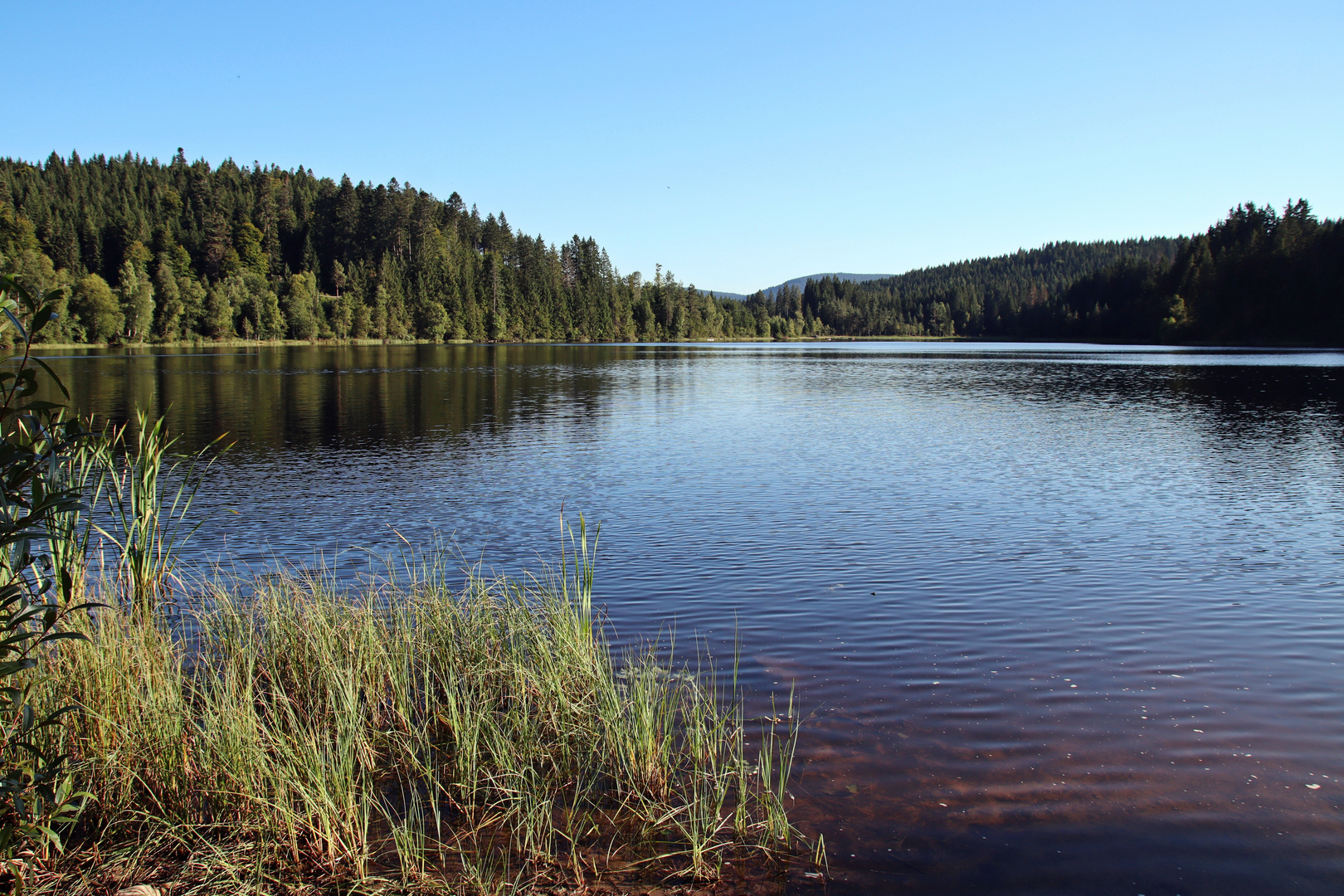 Windgfällweiher