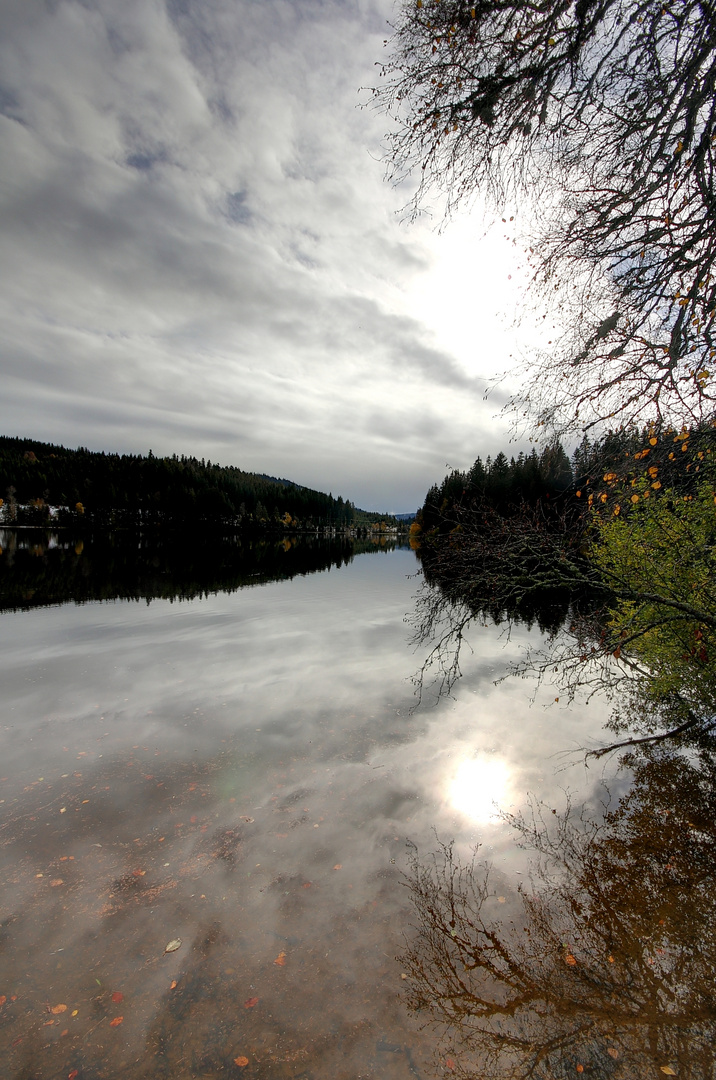 Windgfällweiher im Schwarzwald