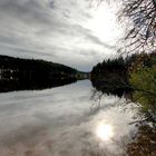 Windgfällweiher im Schwarzwald