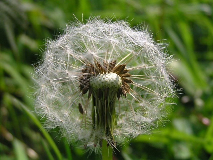 Windhauch in ein neues Leben