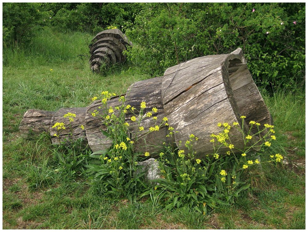 Windhörner – NaturKustRaum Neubürg