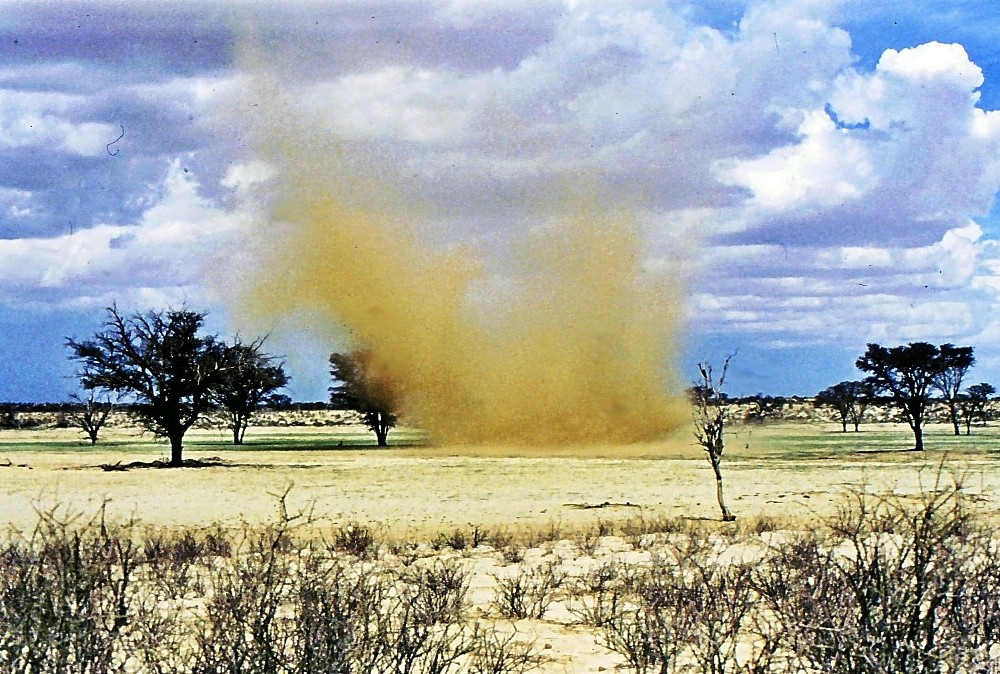 Windhose in der Kalahari