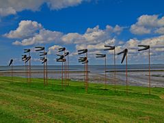 Windhosen bei Ebbe