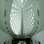Windhover Hall - Salvatore Calatrava