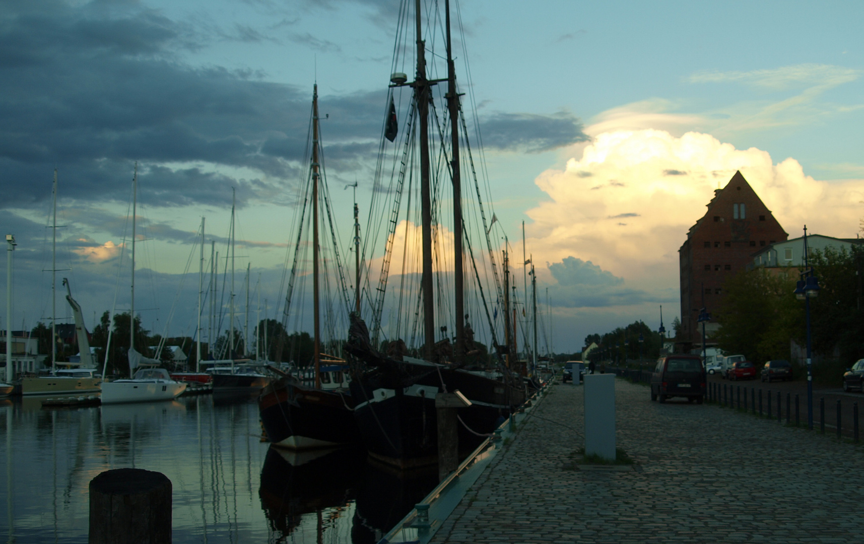 Windhund über Greifswald