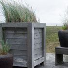 Windig auf Norderney