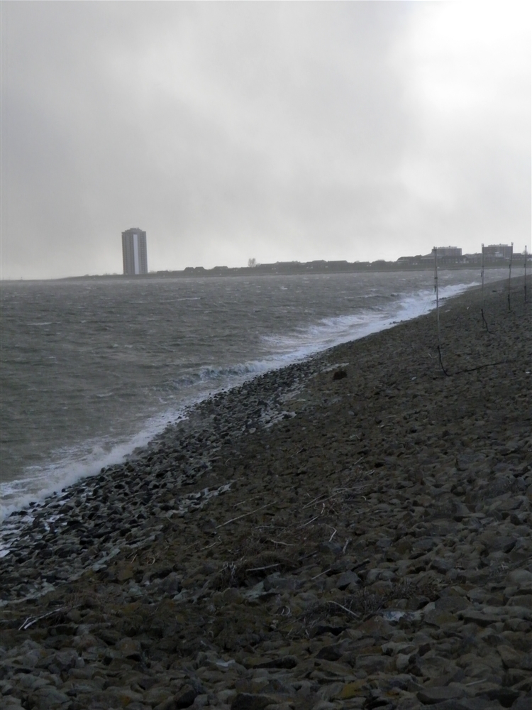 Windig ist es in Büsum