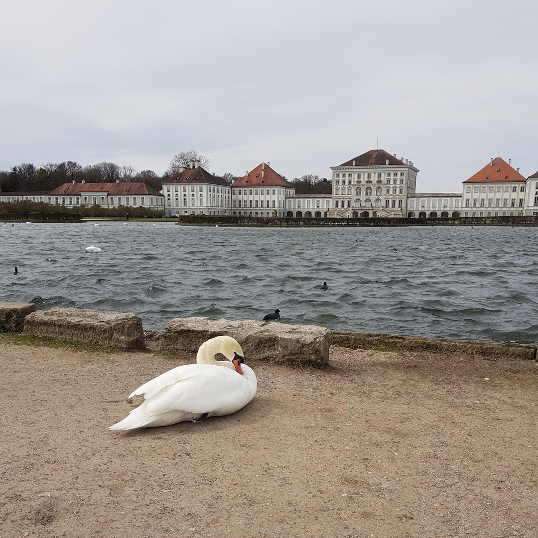 Windig und bewölkt 