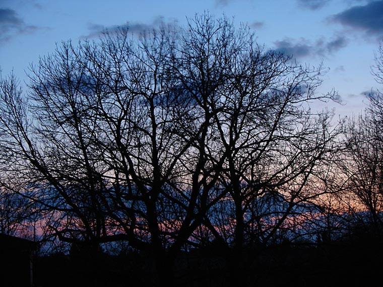 Windige Abendstimmung am 1. Februar 2007 (2)