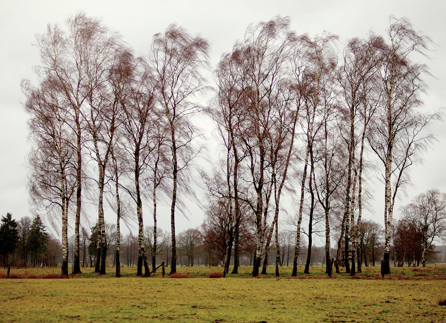 Windige Gestalten