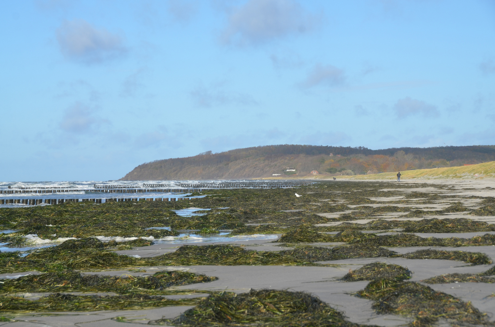 Windige Zeiten  auf Hiddensee 