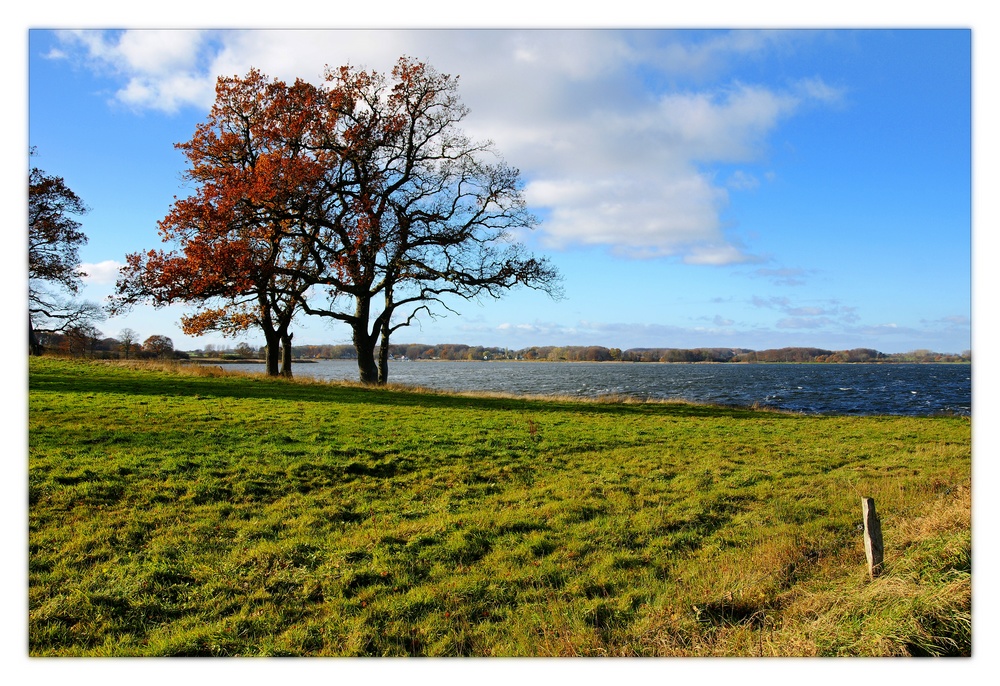 Windiger Herbsttag