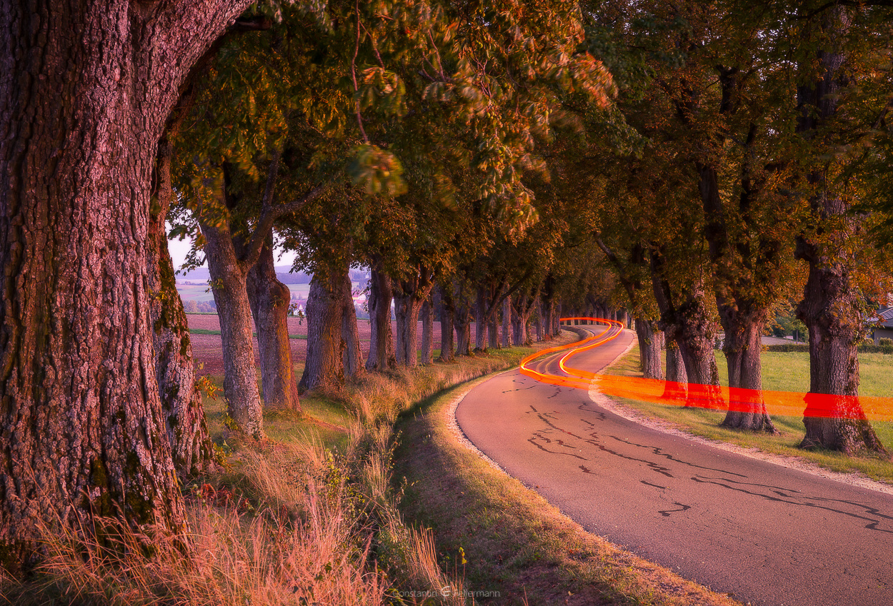 Winding Avenue