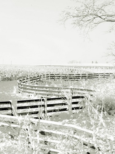 Winding Fence