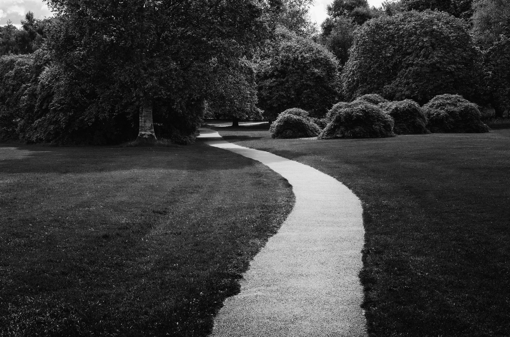 ... winding paths ...