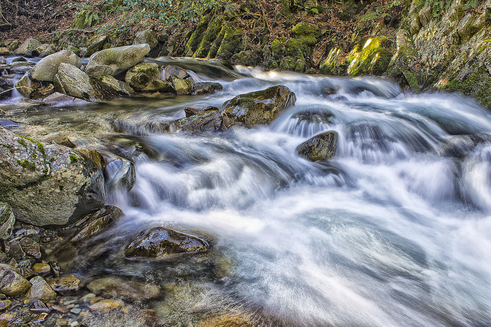 Winding stream