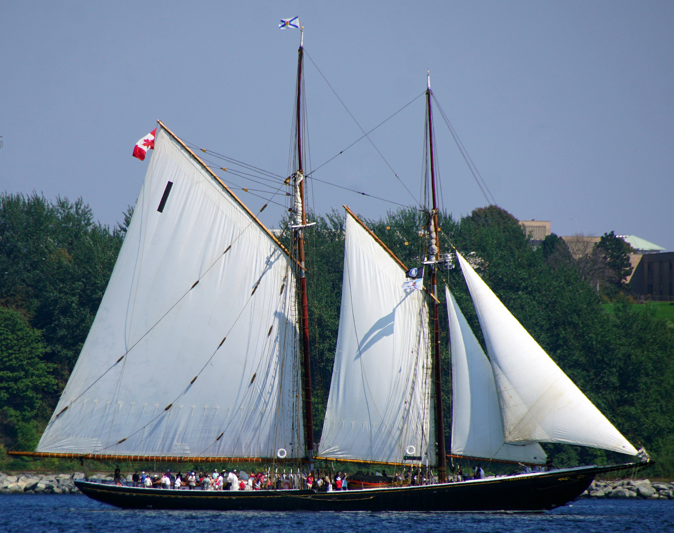 Windjammer