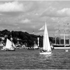 Windjammer Parade auf der Elbe