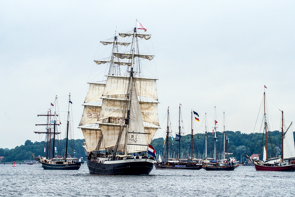 Windjammer  "Thor Heyderdahl"