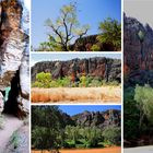 Windjana Gorge