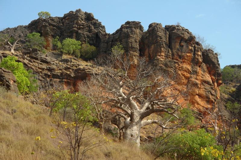 Windjana Gorge