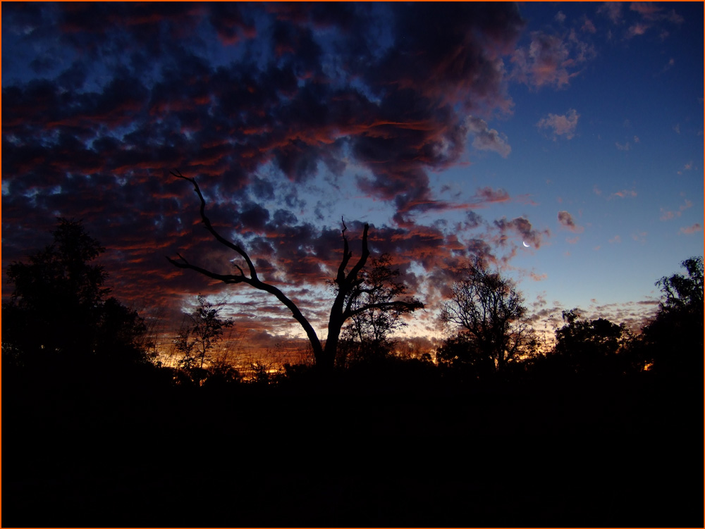 Windjana Gorge sunset