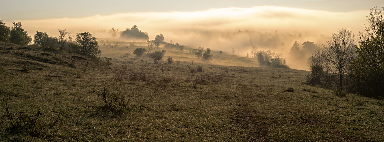 Windknollen mit Nebel