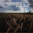 Wind.Körner.Werk.Kraft