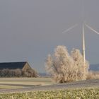 Windkraft