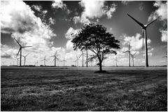 Windkraft