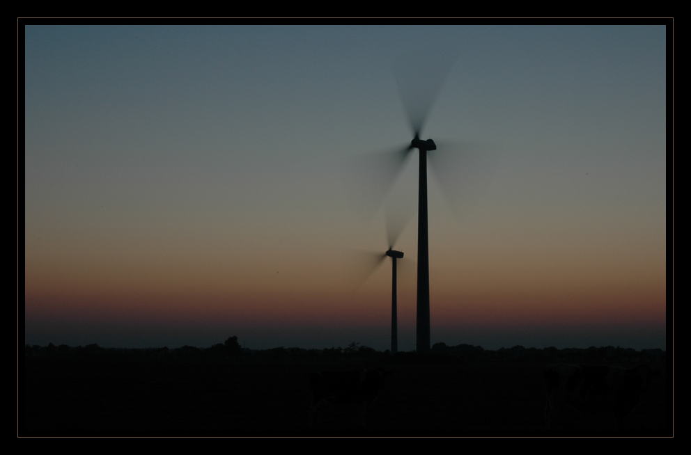 Windkraft am Abend