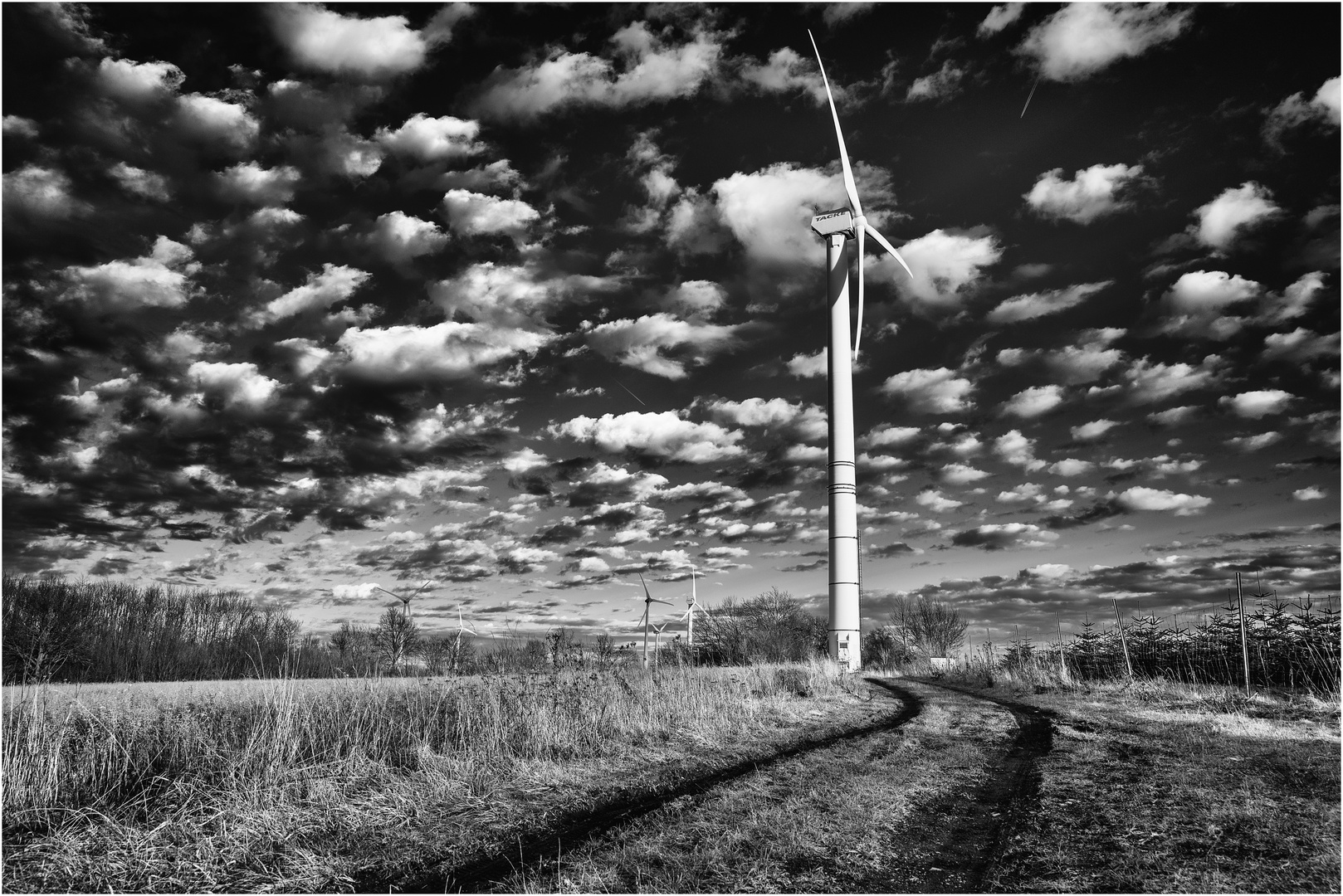 Windkraft am Haarstrang...