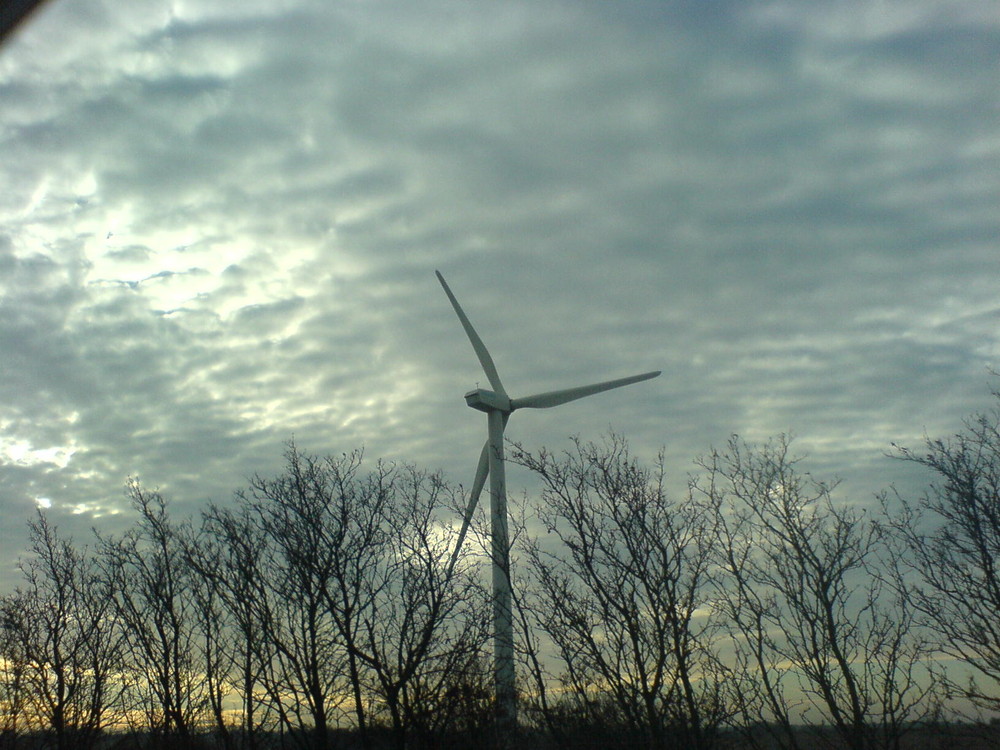 Windkraft