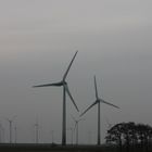 Windkraft-Energie an der Nordsee