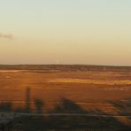 Windkraft gegen Braunkohle