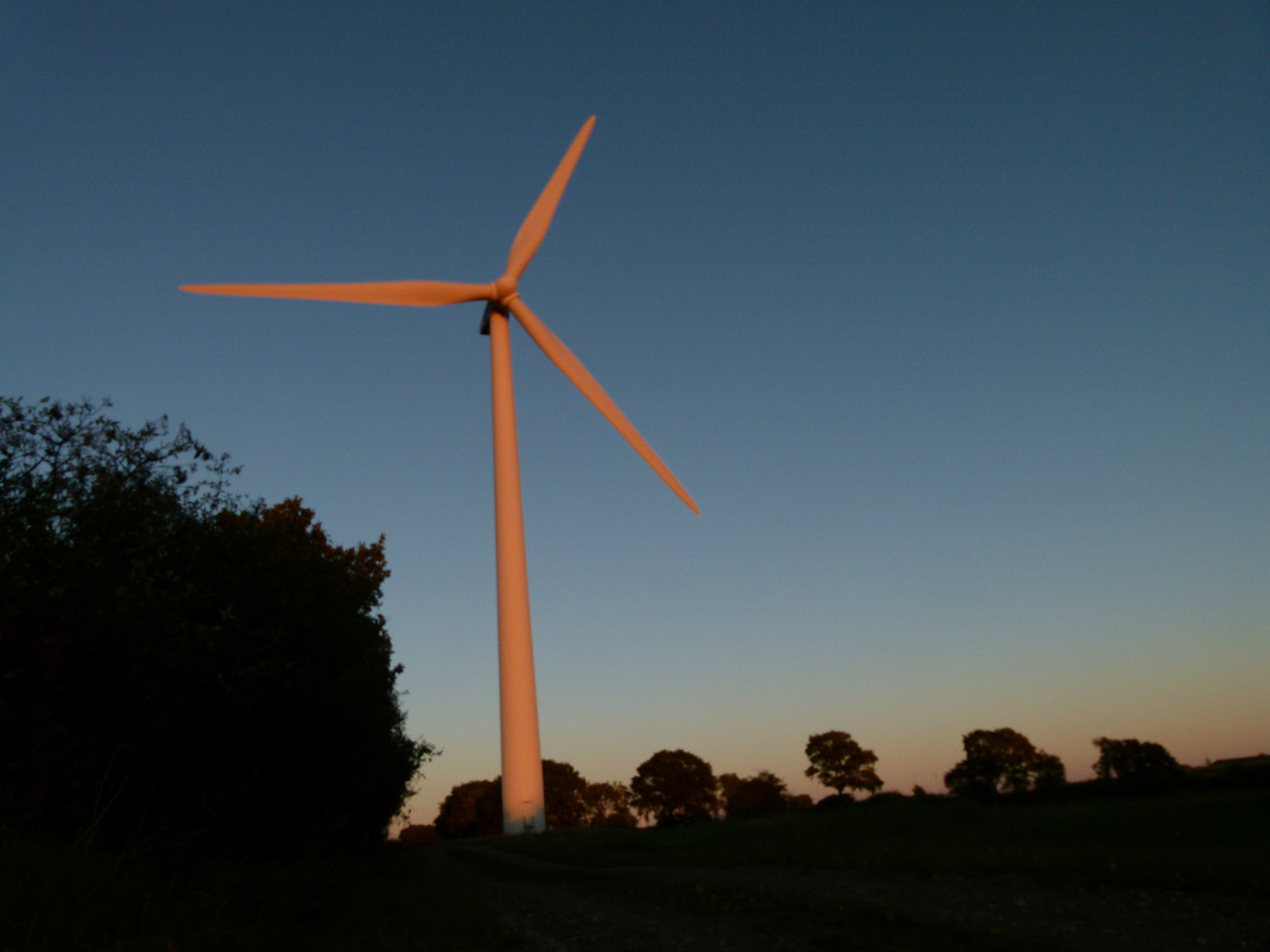 Windkraft im Abendrot