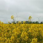 Windkraft im Einklang mit der Natur...