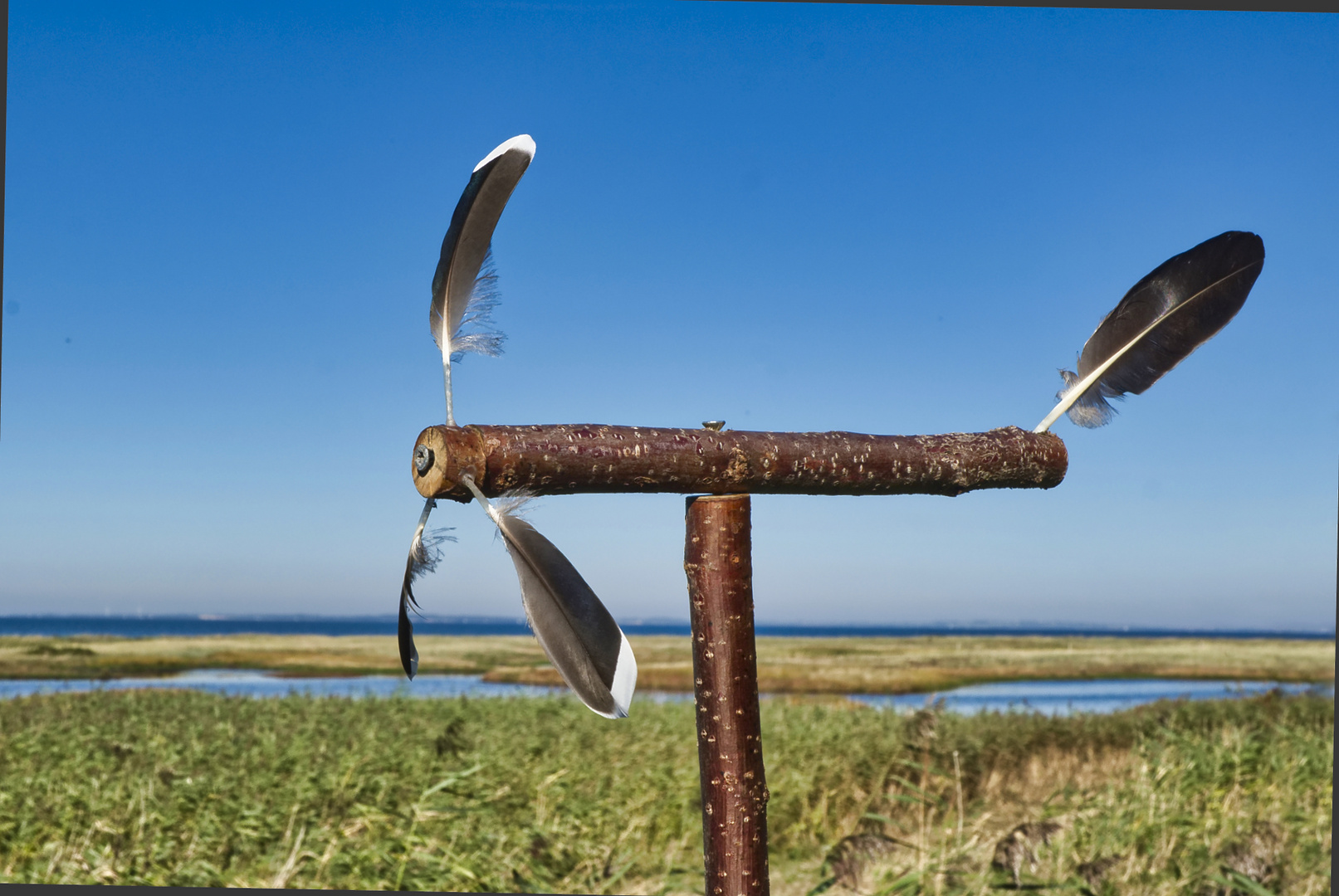 Windkraft im Naturschutzgebiet