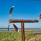 Windkraft im Naturschutzgebiet