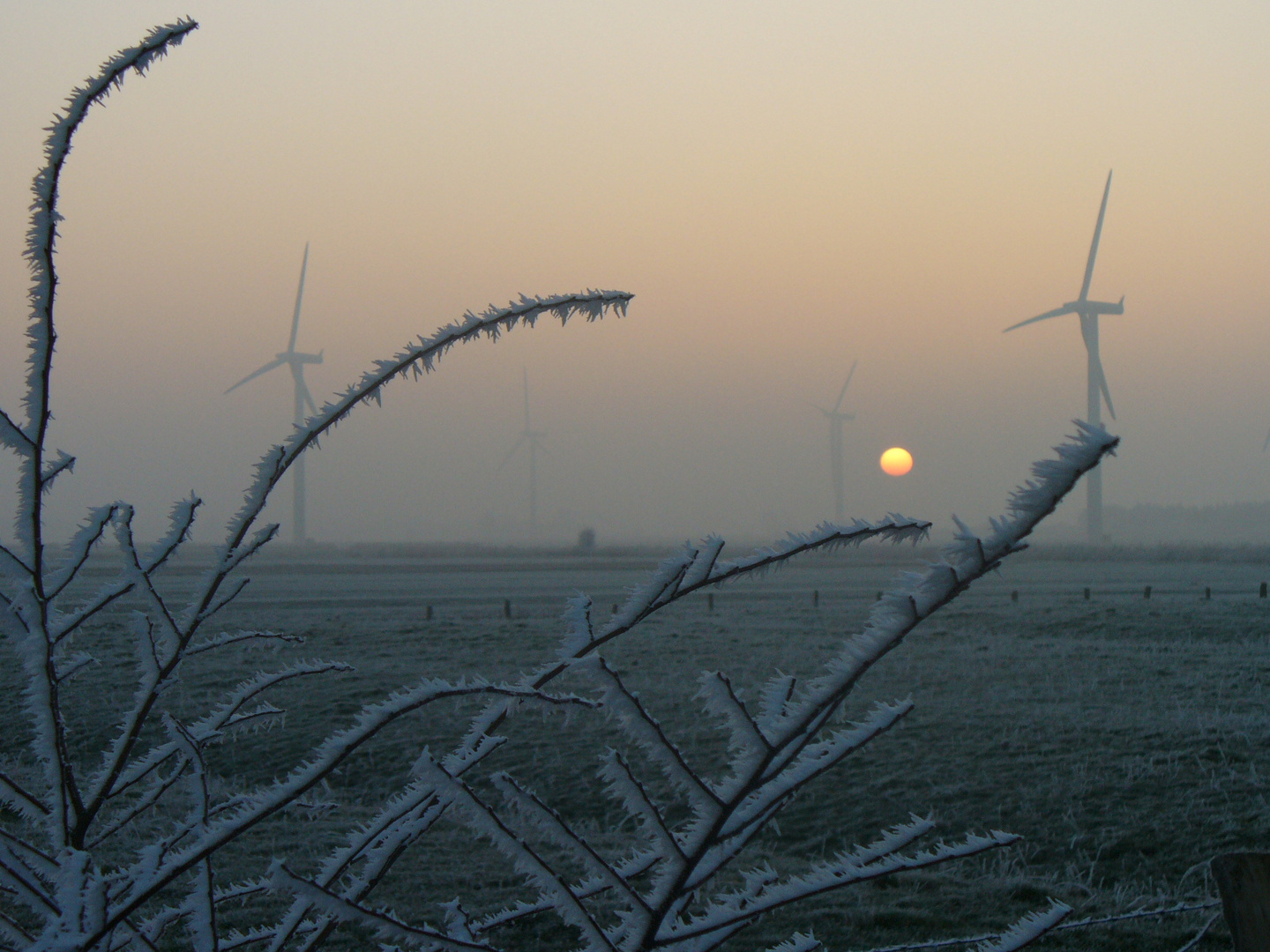 Windkraft im Nebel