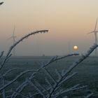 Windkraft im Nebel