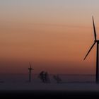 Windkraft im Nebel